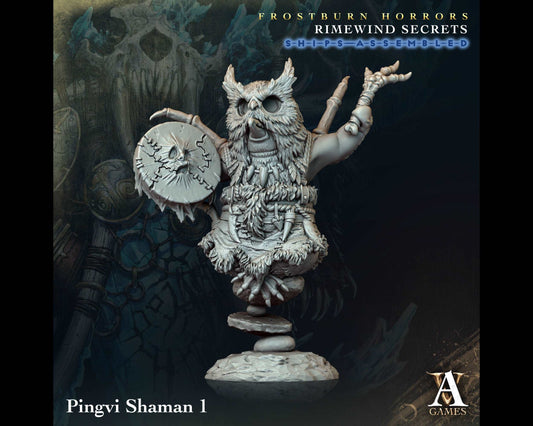 Pingvi Shaman 1 - Rimewind Secrets - Highly Detailed Resin 8k 3D Printed Miniature