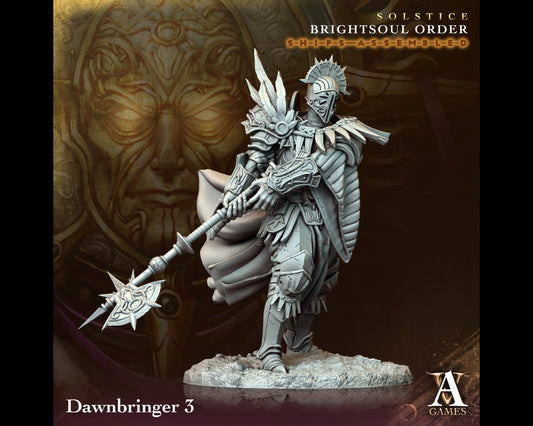 Dawnbringer 3 - Brightsoul Order - Highly Detailed Resin 8k 3D Printed Miniature