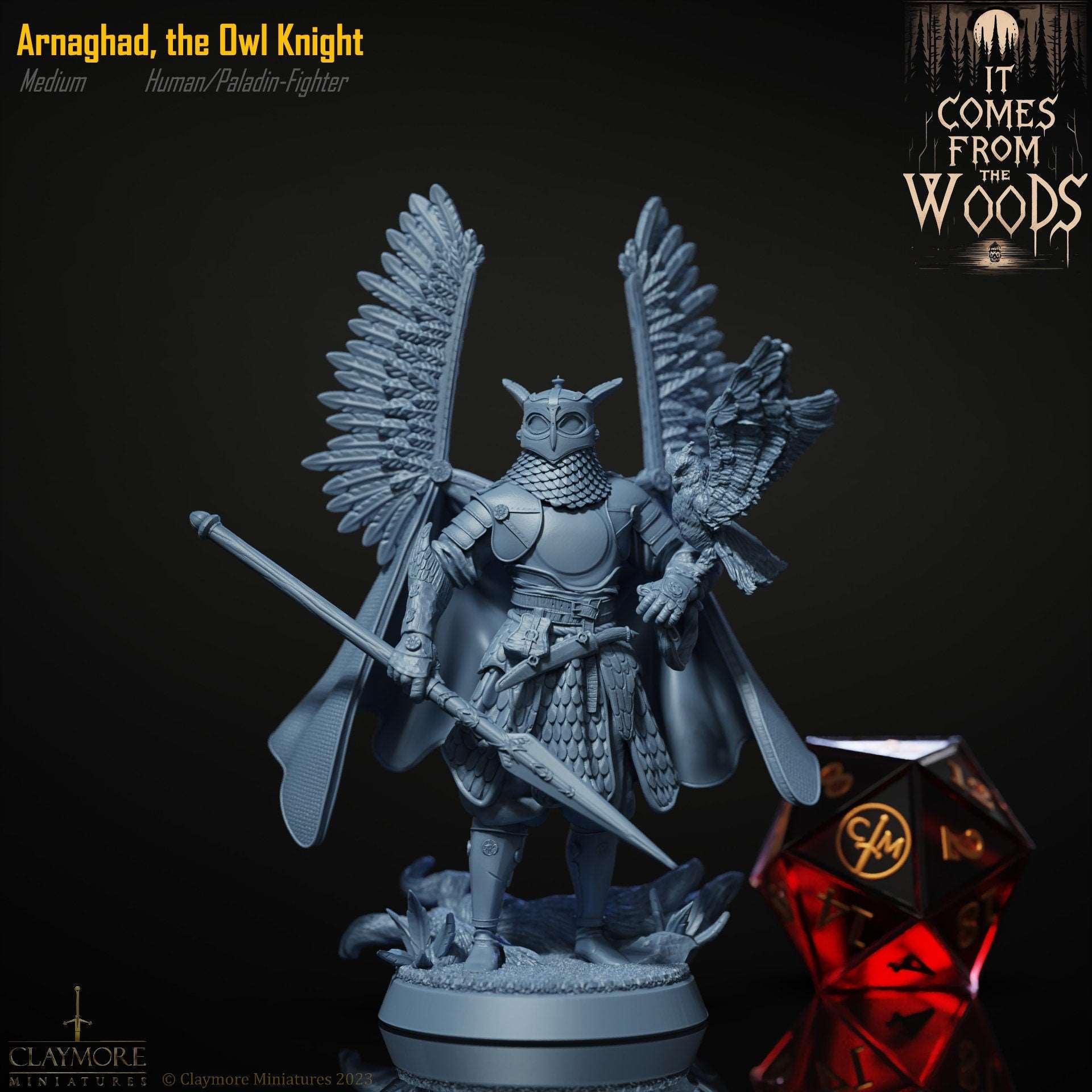 Arnaghad, The Owl-Knight - Human Fighter/Paladin - It Comes From The Woods - Highly Detailed Resin 8k 3D Printed Miniature