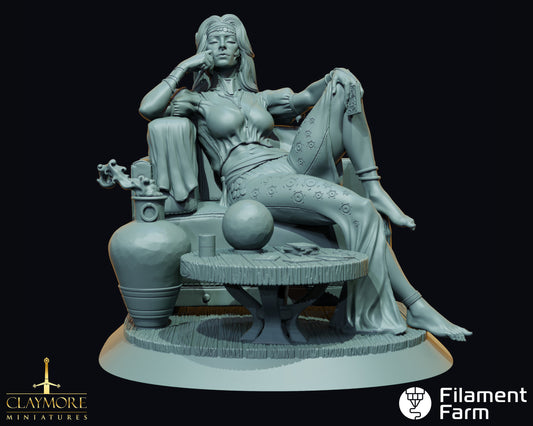 Tarot Reader - A Feast of Blood - Highly Detailed Resin 8k 3D Printed Miniature
