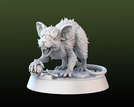 Giant Rat w/ Skull - High Detail Resin 3D Printed Miniatures and Props
